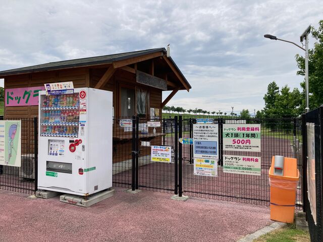 ���c�}��L�����_���c�}��L�����