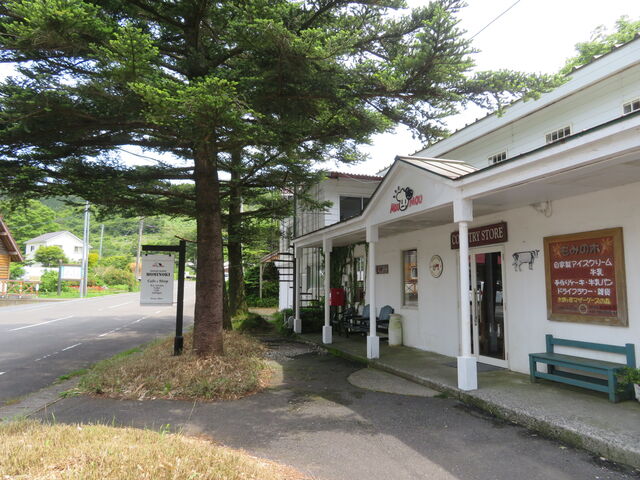 ݂̖؁@Oϑ傫Ȃ݂̖_݂̖