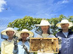 qfberich{I@OgRւ̓eʐ^1