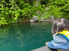 L؂̃Oh@RIB Tripւ̓eʐ^1