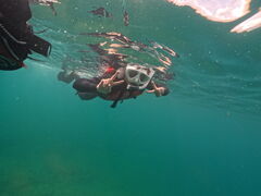 N}̐̓AJiT_CrOւ̓eʐ^1