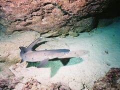 ݂񂳂̃_CrOT[rXEՂ܂ǂւ̓eʐ^2