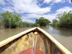 {XTu̐߂(ߍ]aDόg)ւ̓eʐ^1