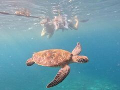 maySHISHIΊ_ւ̓eʐ^1