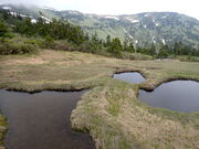 }Cann̋xRt߂̎̓eʐ^1