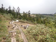 }Cann̋xRt߂̎̓eʐ^1