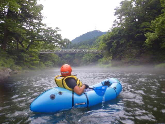 ����ɂ��V�T��K�[�f��������܂�
�V�T��̂��q����B�����U���Ă���Ċ���������_ELEANOR (�G���m�A)