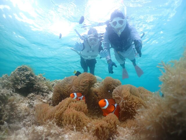 ���܂̂�_���C��