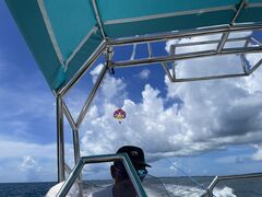 ݂݂̋{ÓpZ[O all good marine 385ւ̓eʐ^1