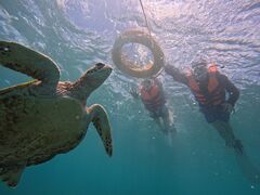 ܁[[CHURA{Óւ̓eʐ^1