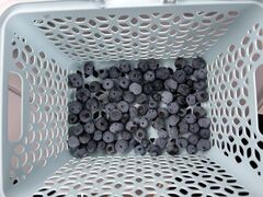 ڂ̕xu[x[t@[  mokkiւ̓eʐ^2