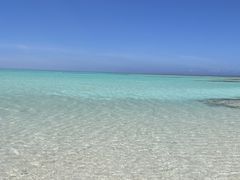 tome cruiseւ̓eʐ^1