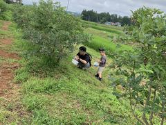 �䂤����񂳂�̐X�̕��_���ւ̓��e�ʐ^1