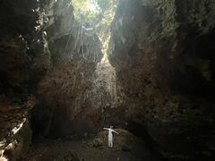 {Óόݐ؃KCh 앗̎ʐ^2