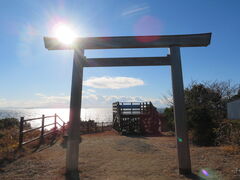 L̋E炫W]@iꖦiɐ_{ꡔqjjւ̓eʐ^1