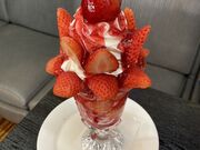 sAsÃp[[ԎԂ̓eʐ^1