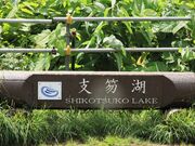 Ƃ񂳂̃|siCJpj[̓eʐ^4