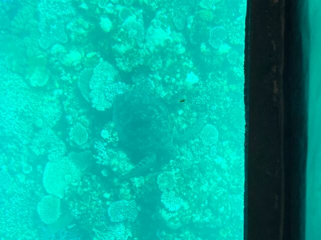 �O���X�{�[�g����E�~�K��_�܂��͂������邭��