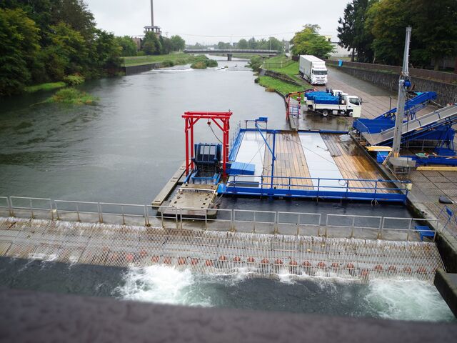 �C���f�B�A�����ԁB�����ɂ��J�ł���_�T�P�̂ӂ邳�Ɛ�ΐ�����