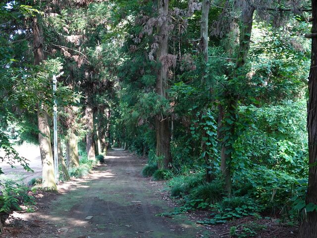 ē@݈ʒuȗ֘h__R՘h