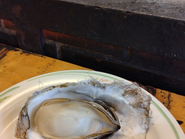 �傫�ȉ��y_���H�t�B�b�V���[�}���Y���[�tMOO�EEGG