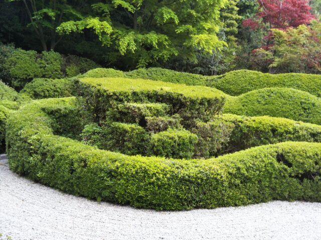 大池寺(蓬莱庭園)】アクセス・営業時間・料金情報 - じゃらんnet