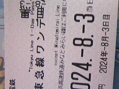 �T���v������̌ܔ��c�w�i���}�d�S�j�ւ̓��e�ʐ^1