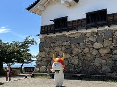 AHIRU����̓��ʎj�ՕF����Ղւ̓��e�ʐ^1