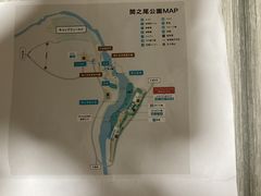 �����悳��̊֔V����ւ̓��e�ʐ^1