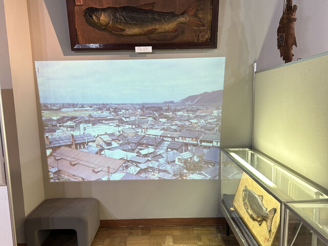 ���̖ؒ��W�̗l�q�B�h���[���H���g������B�f��������Ă��܂���_�I�R���J��L�O�فE��L�O��