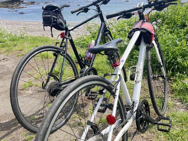 ���B���؂肽���]��_���݂����T�C�N��