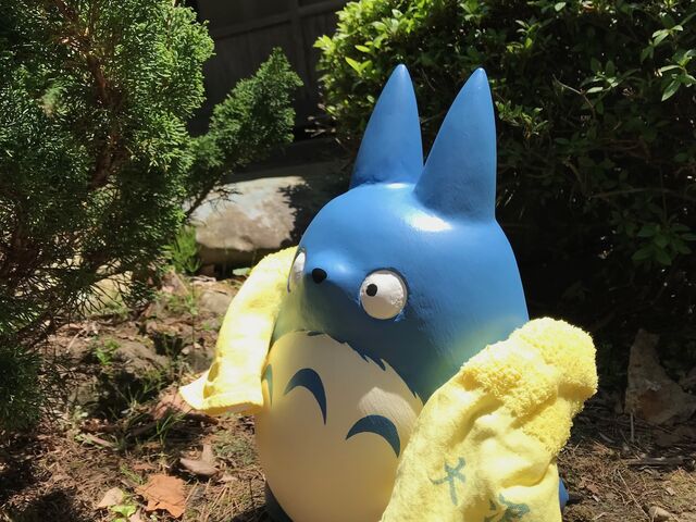 �����C�オ��̃g�g��_��򉷐򎩐���������