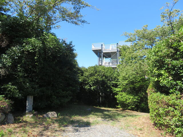 �т̎R�W�]��_�т̎R�W�]��