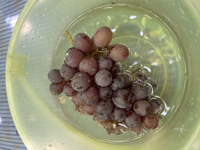 ������Ԃǂ���X���ŗ�₵�܂�_33���E��(�����s�ό��Ԃǂ��Z���^�[�����x��)