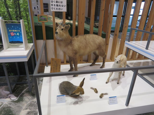 ��y���r�W�^�[�Z���^�[
���������̂͂���_��y���r�W�^�[�Z���^�[