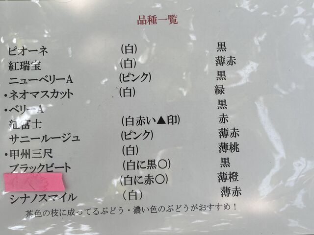 �Ԃǂ��̕i��ł��B_�[���̋u�ό��_��(�����s�ό��Ԃǂ��Z���^�[�����x��)