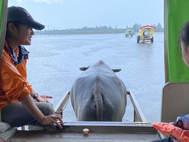 �����ԃR�^���[��_���\���J�k�[�c�A�[�̂�т�Ղ�Ղ�u�̂�Ղ�v