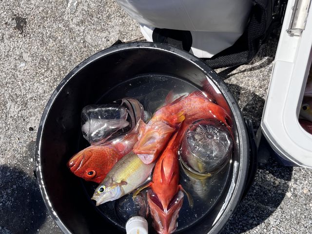 �킽�����ނ�܂�����_������