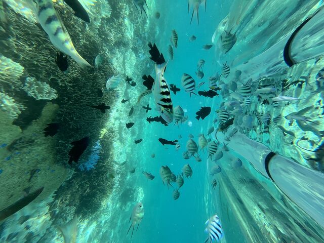 CłĂƂĂYŁAY茩܂I_}X^WI