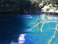 񂳂̃BgJ̓]ւ̓eʐ^1