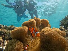 Ȃ̃I[X[Vm[P{Óւ̓eʐ^1