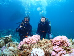 iNLOVẼpC[c}Nuւ̓eʐ^1