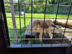 낭̓ߐ{Tt@p[Nւ̓eʐ^1