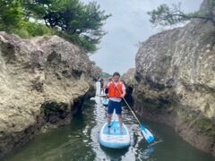 q̐AEghAZ^[ւ̓eʐ^1