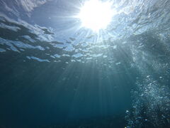 oWẼ}T[rXނʁ[ւ̓eʐ^1