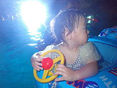 񂳂̃_CrOVbv@SeaFreeւ̓eʐ^1