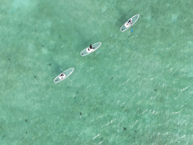 �N���Asup���j�̕l�c�A�[_���݂����