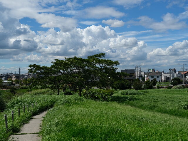 �݂͂炵�̋u����̒���_���쒆������