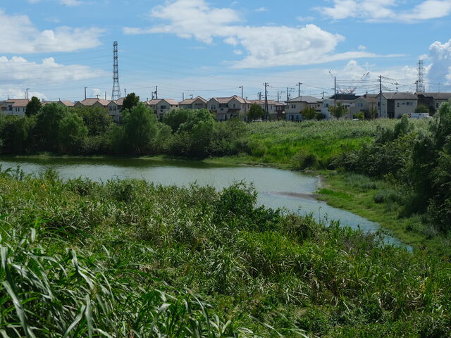 ��̂悤�Ȍ΂̂悤�Ȓ����r_���쒆������