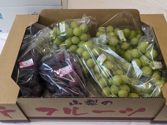 �V���C���}�X�J�b�g�ƃs�I�[�l�̗����ɂ��đ吳��( �L�́M)b�ޯ!_���ʉ�